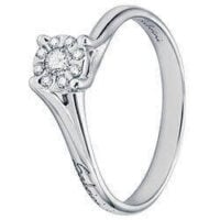 Salvini Daphne 20056182