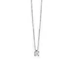 Salvini Virginia 20067683