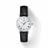 Tissot Everytime Small T1092101603300