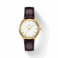 Tissot Excellence Lady 18K Gold T9262101601300