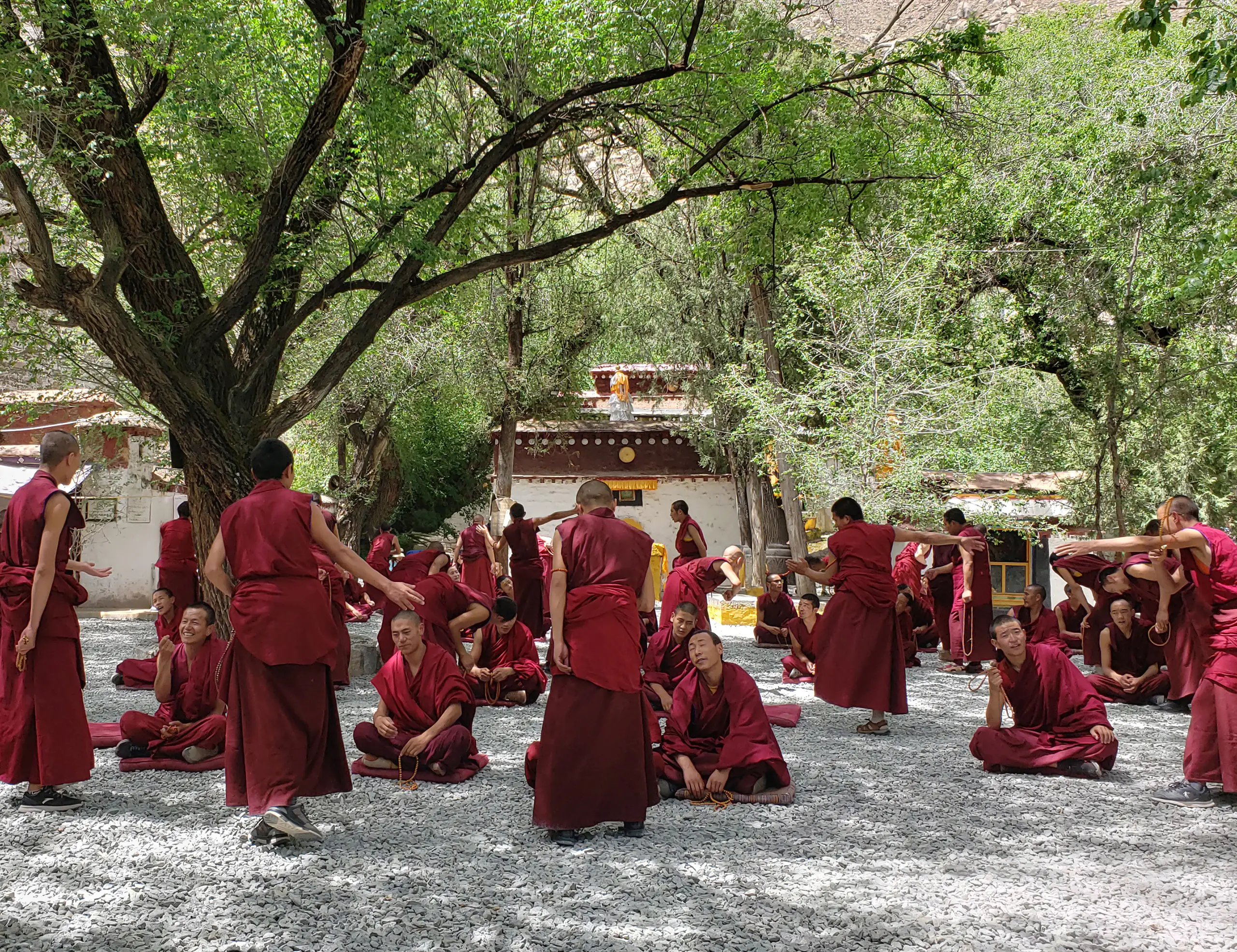 Monaci tibetani